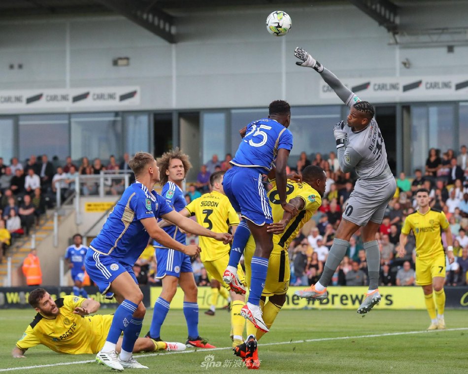 不仅是职业 不仅是职业