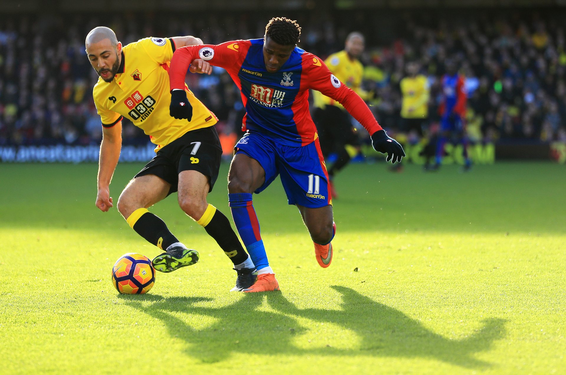 盟中的地位 盟中的地位